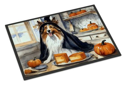 NEW Sheltie Fall Kitchen Pumpkins Doormat Front Door Mat Indoor Outdoor Rugs for Entryway, Non Slip Washable Low Pile, 18H X 27W