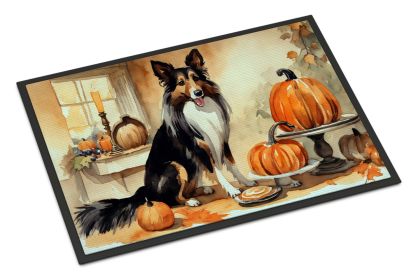 NEW Collie Fall Kitchen Pumpkins Doormat Front Door Mat Indoor Outdoor Rugs for Entryway, Non Slip Washable Low Pile, 18H X 27W