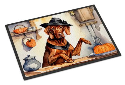 NEW Vizsla Fall Kitchen Pumpkins Doormat Front Door Mat Indoor Outdoor Rugs for Entryway, Non Slip Washable Low Pile, 18H X 27W